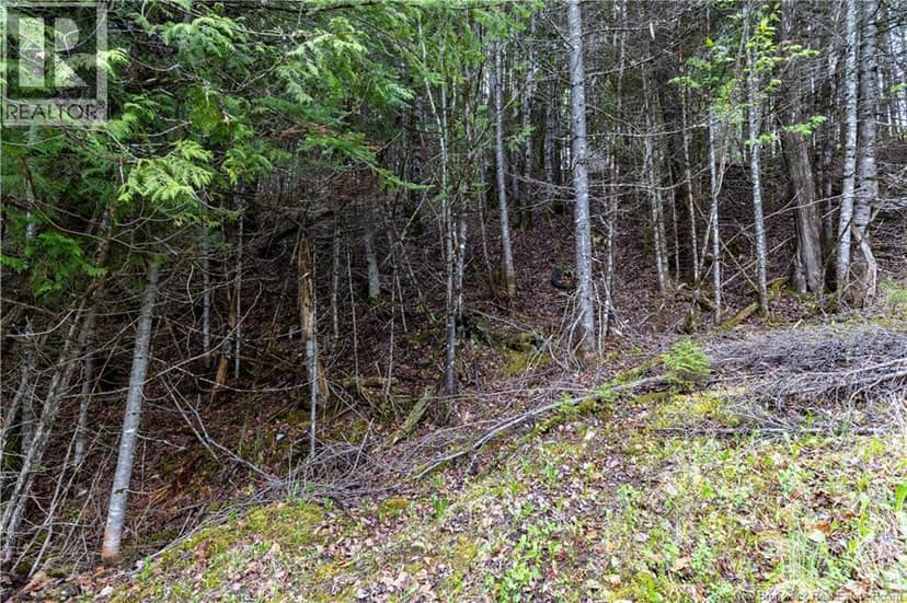 Lot Enterprise Road — photo 22 of 27