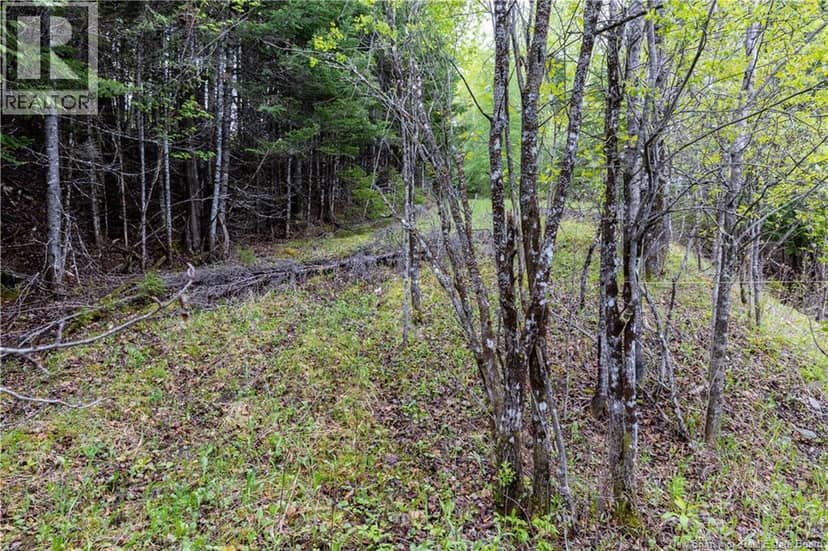 Lot Enterprise Road — photo 23 of 27