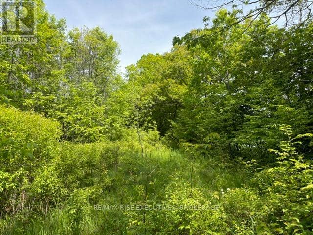 Pt Lt 5 Wyona Lane, Frontenac Islands, photo 6