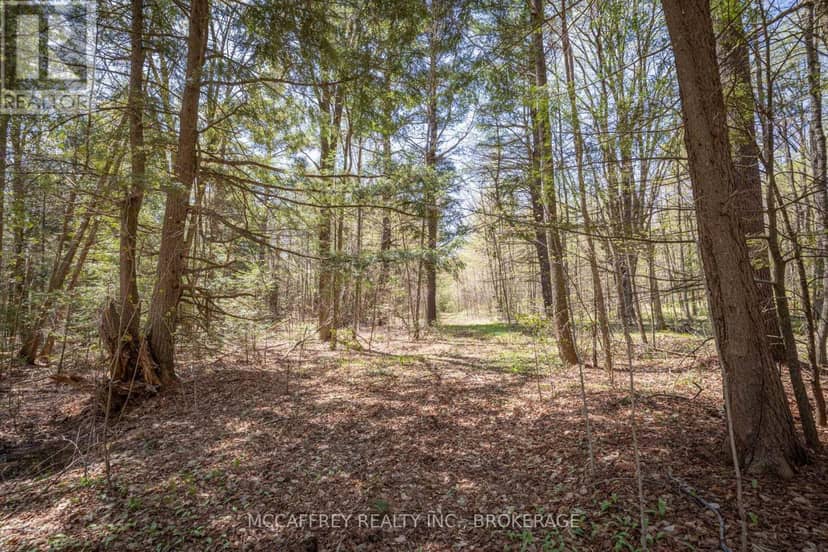 1088 Kashwakamak Lake Road — photo 23 of 40