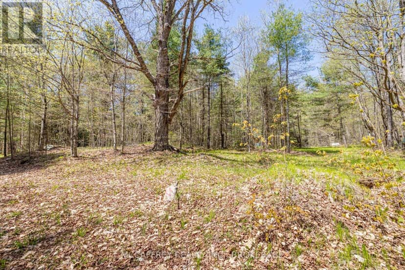 1088 Kashwakamak Lake Road — photo 26 of 40