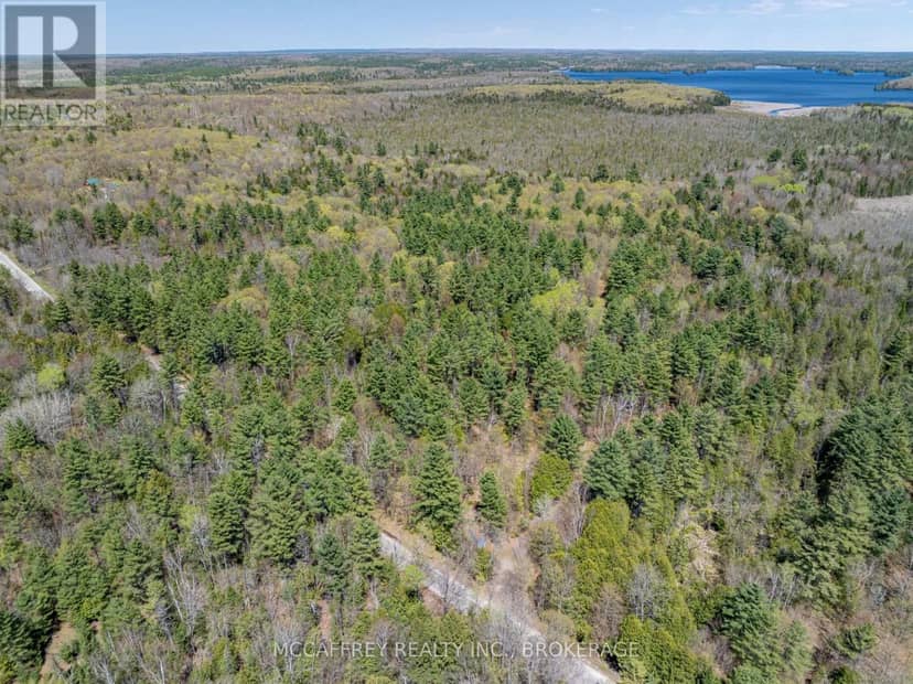 1088 Kashwakamak Lake Road — photo 3 of 40