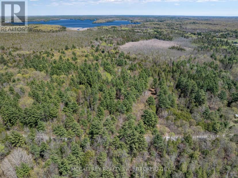 1088 Kashwakamak Lake Road — photo 4 of 40