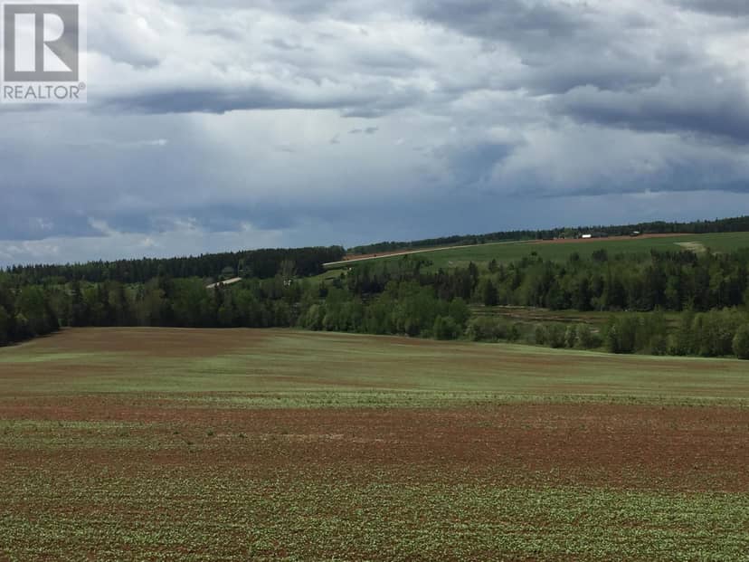 Acreage South Melville Road, RTE 246, DeSable, photo 3