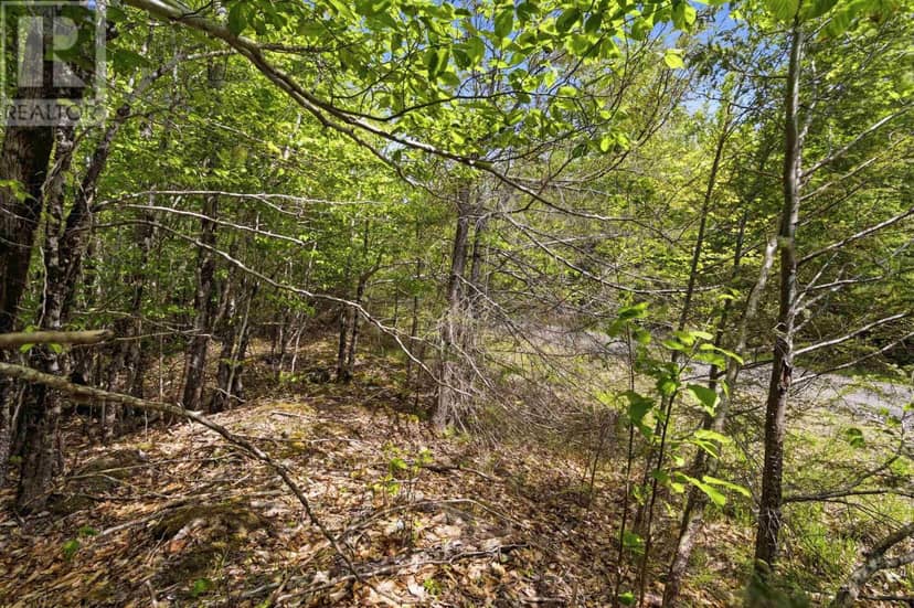Lot 30 Maplesue Point Drive — photo 19 of 40