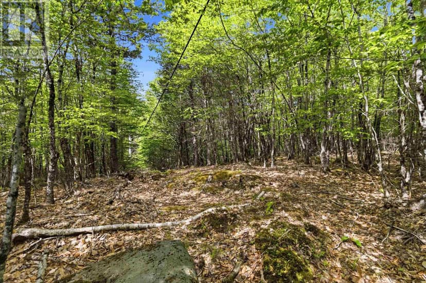 Lot 30 Maplesue Point Drive — photo 16 of 40