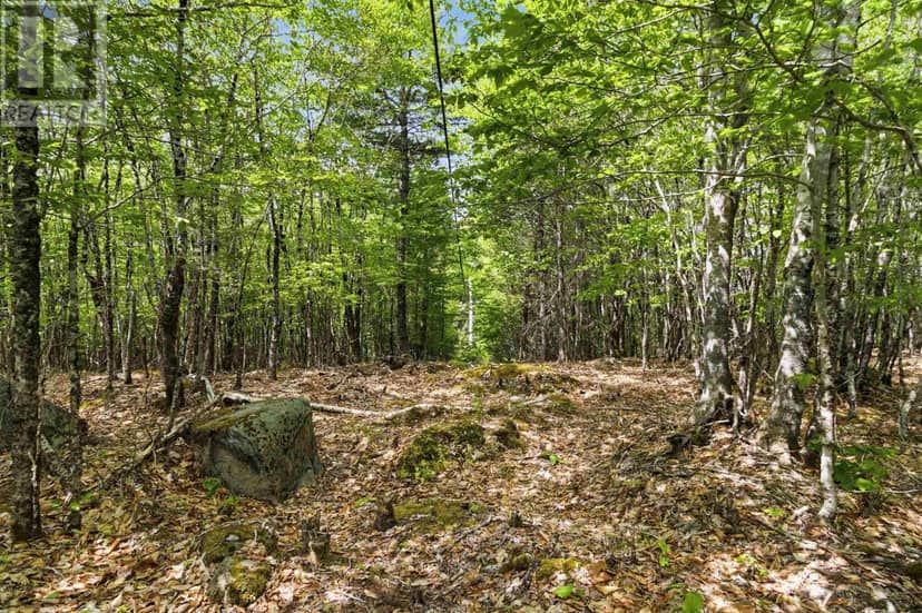 Lot 30 Maplesue Point Drive — photo 17 of 40