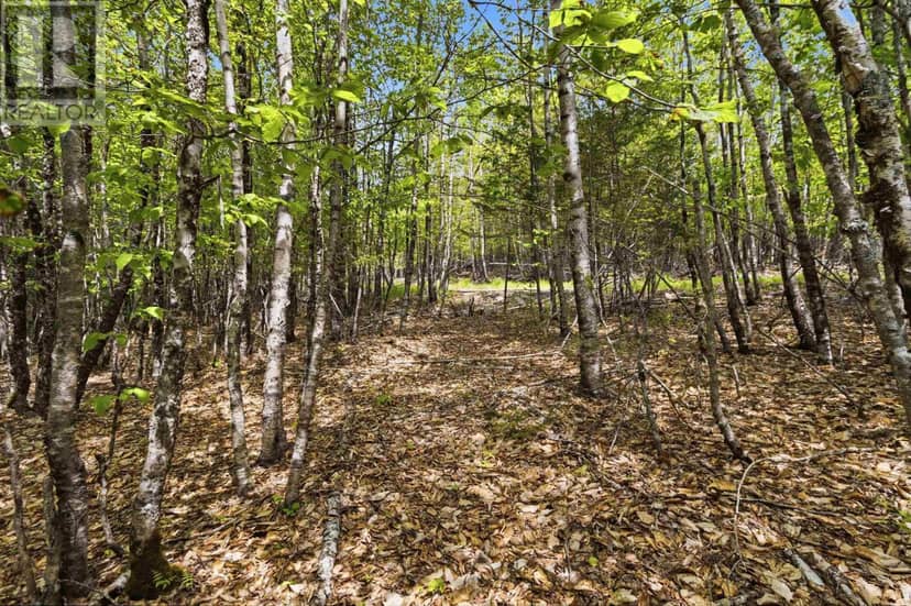 Lot 30 Maplesue Point Drive — photo 23 of 40