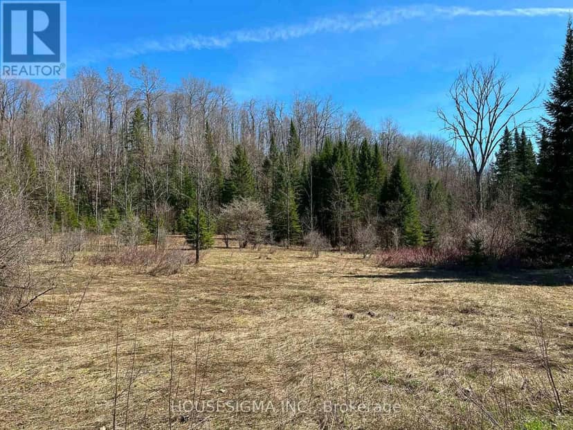 Con 14 Pt Lot 17 Ward: 01 Buller Road, Kawartha Lakes, photo 2