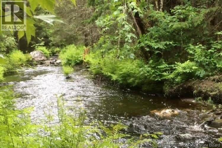 0 Digdeguash River, Rollingdam, photo 3