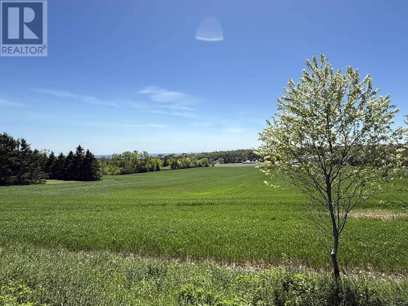 17 Acres Old Tryon Road — photo 9 of 11