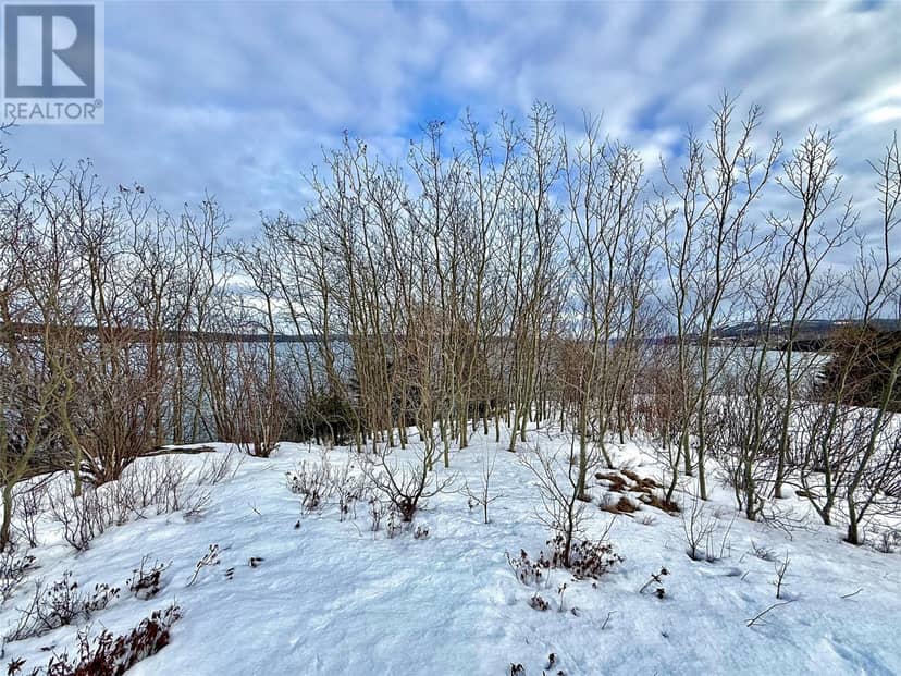 117 MARINE Drive, Clarenville, photo 3