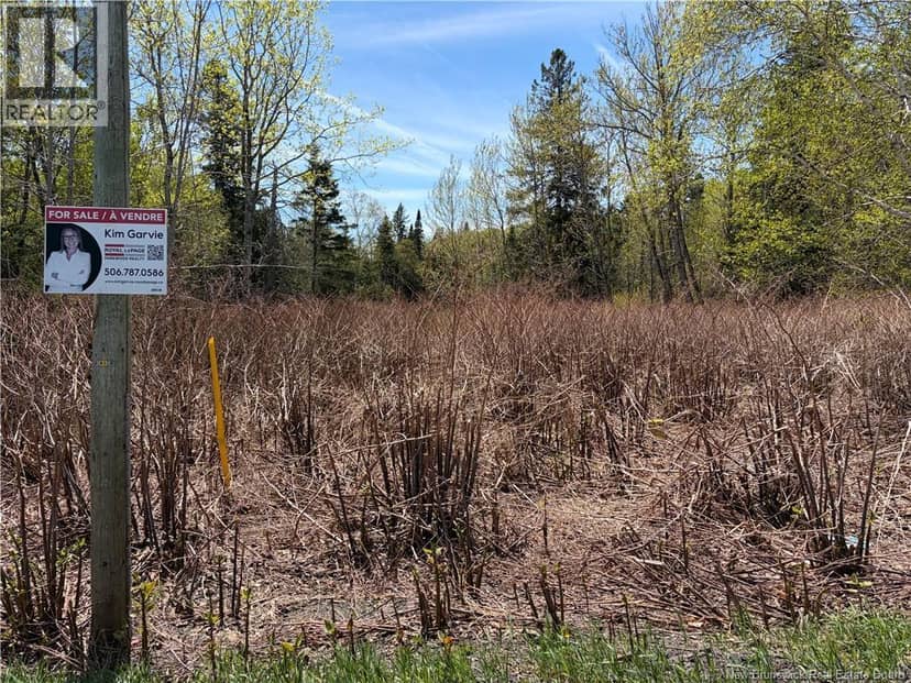 Lot Vacant Route 134 — photo 5 of 7