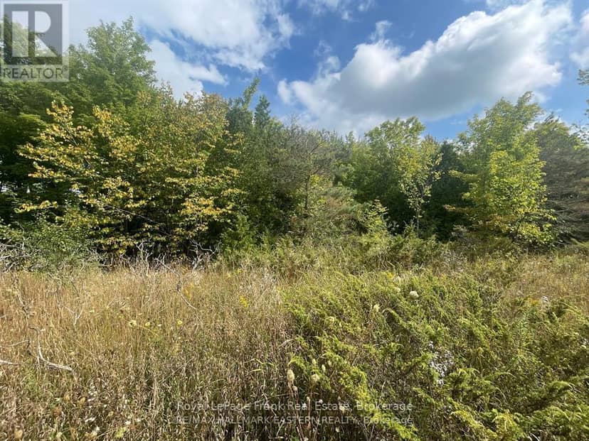 00 Adams-Cummings Road — photo 10 of 15