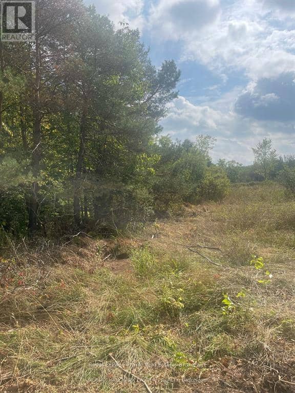 00 Adams-Cummings Road — photo 13 of 15