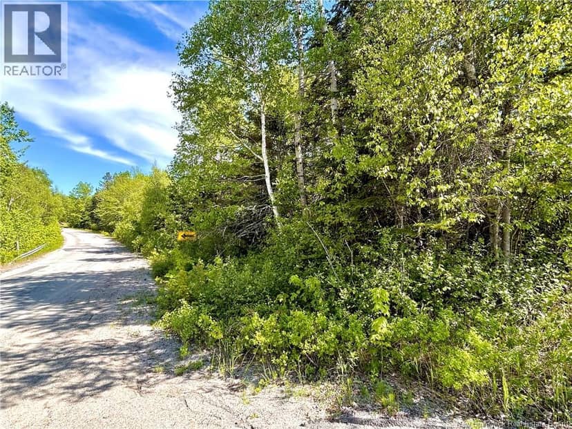 2.87 Acres Portage River Road, Baie-Sainte-Anne, photo 2