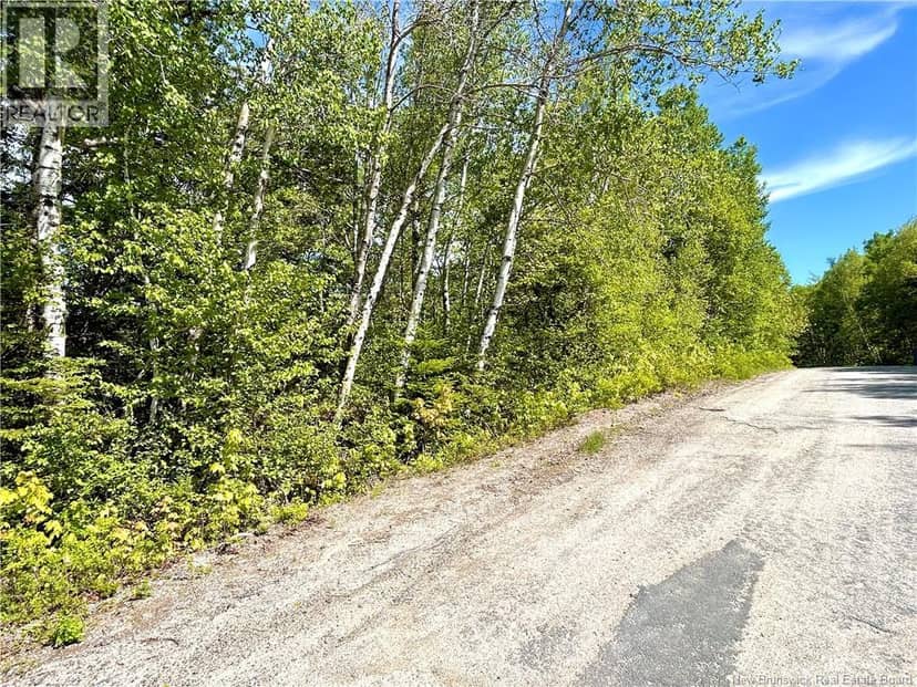 2.87 Acres Portage River Road, Baie-Sainte-Anne, photo 3