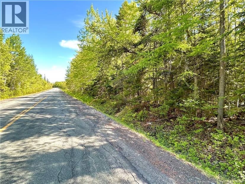 53.1 Acres Route 117, Napan, photo 2