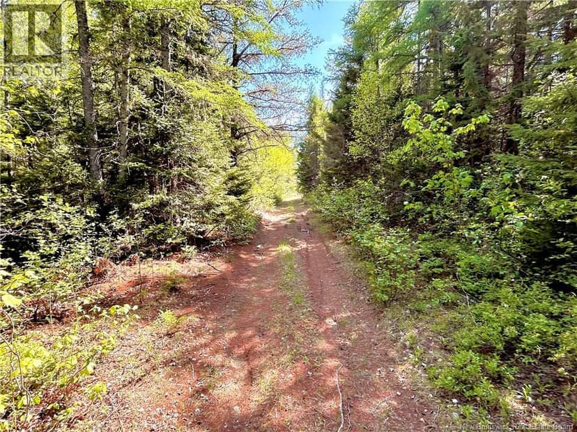 53.1 Acres Route 117, Napan, photo 4