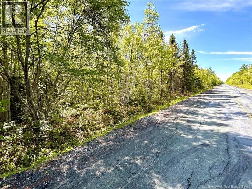 53.1 Acres Route 117, Napan, photo 3