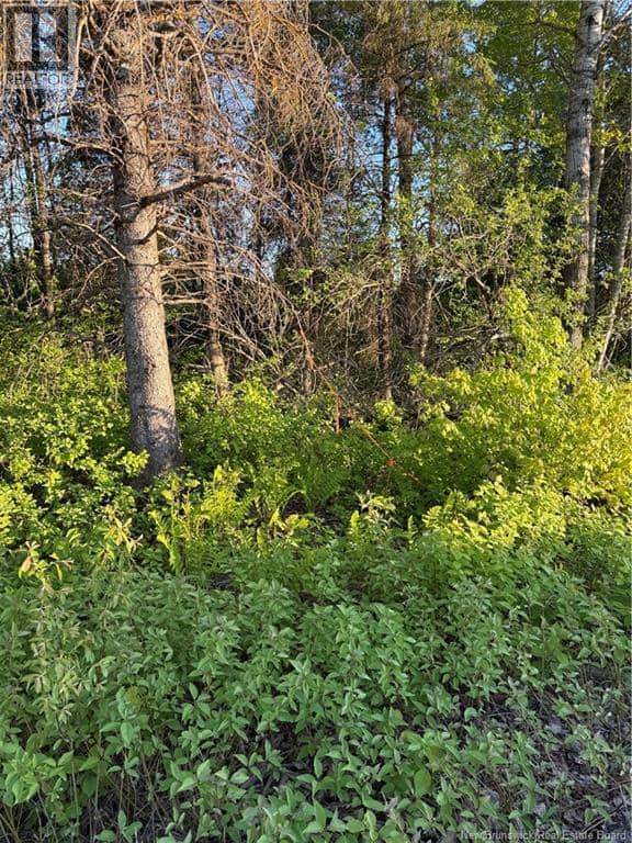 LOT Baseline Road — photo 39 of 39