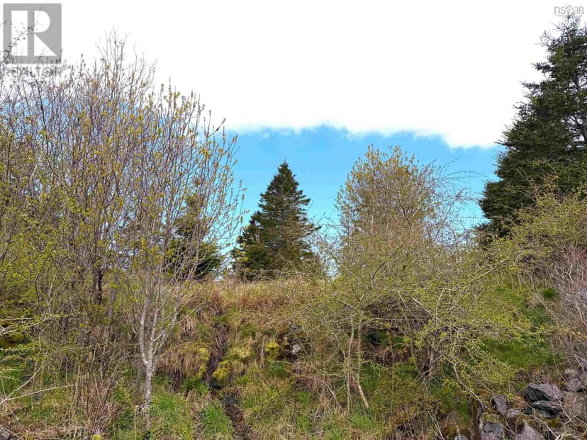 Lot 5, Lakeside Road — photo 13 of 25