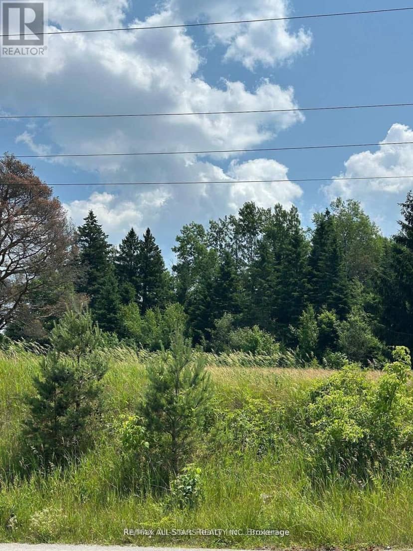 2 Thomas Street, Kawartha Lakes, photo 5