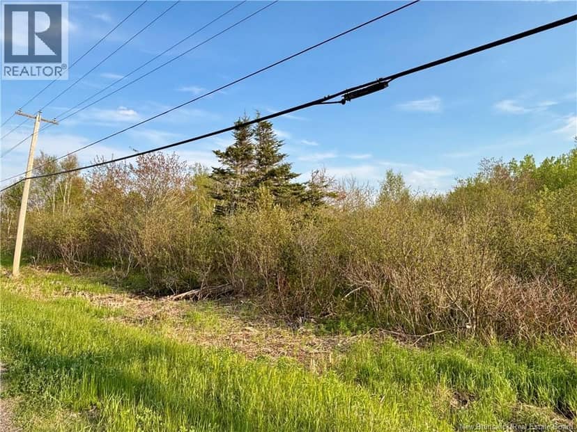 33.8 Acres Route 310 — photo 2 of 6