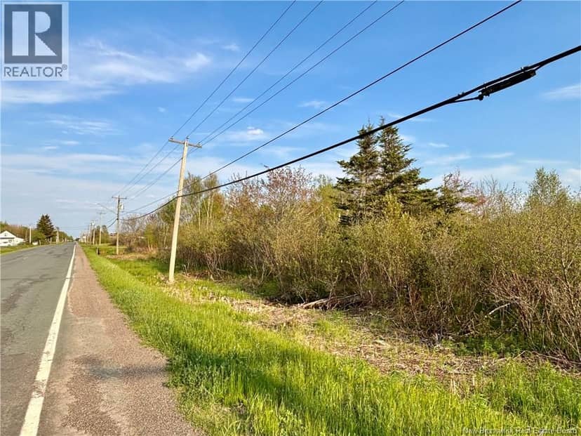 33.8 Acres Route 310 — photo 3 of 6