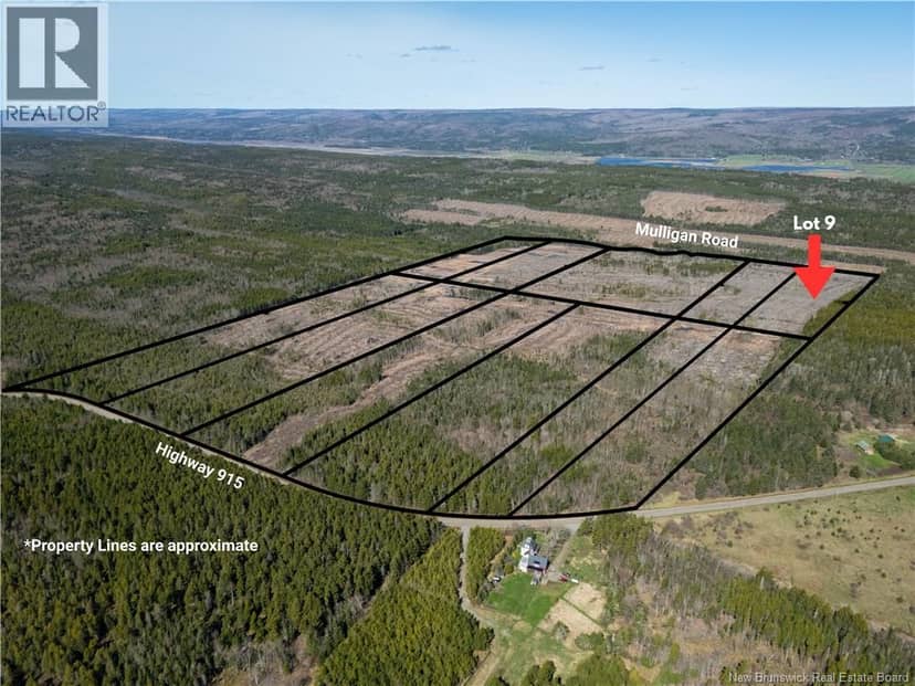Lot 9 Route 915, Upper New Horton, photo 7