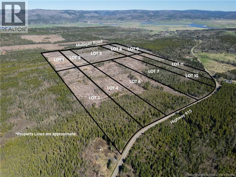 Lot 9 Route 915 — photo 11 of 12