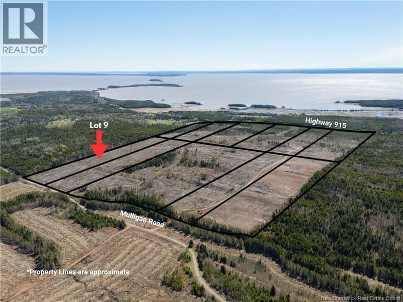 Lot 9 Route 915, Upper New Horton, photo 3