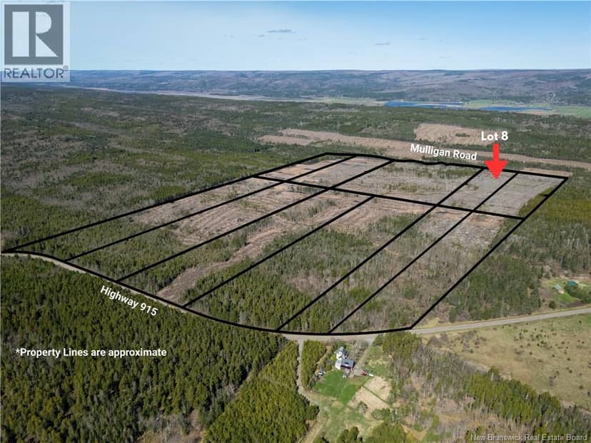 Lot 8 Route 915, Upper New Horton, photo 5