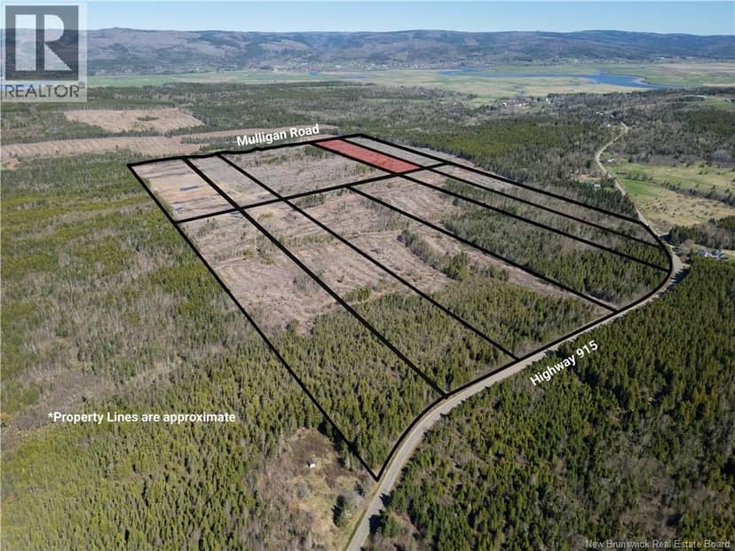 Lot 8 Route 915, Upper New Horton, photo 8