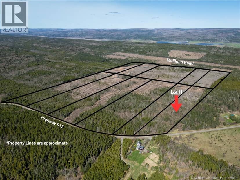 Lot 11 Route 915, Upper New Horton, photo 7