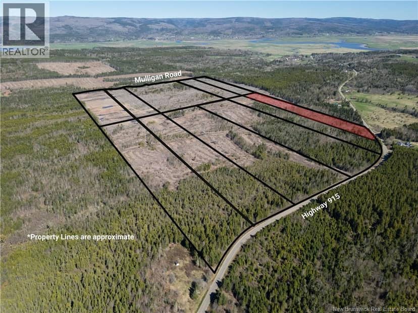 Lot 11 Route 915, Upper New Horton, photo 6