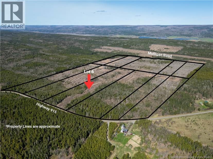 Lot 6 Route 915, Upper New Horton, photo 7