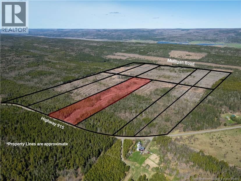 Lot 6 Route 915, Upper New Horton, photo 8