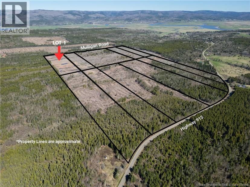 Lot 1 Route 915, Upper New Horton, photo 5