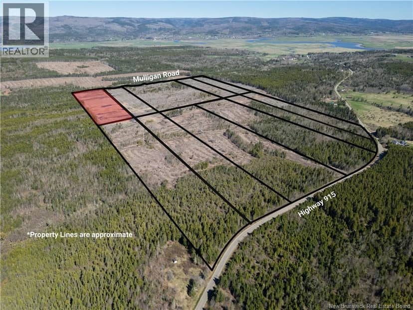 Lot 1 Route 915, Upper New Horton, photo 6
