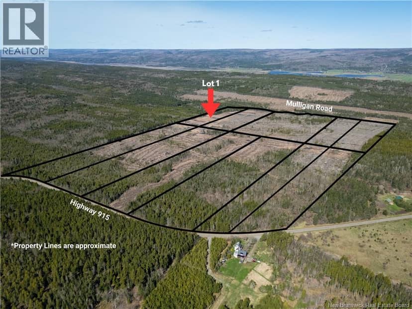 Lot 1 Route 915, Upper New Horton, photo 7