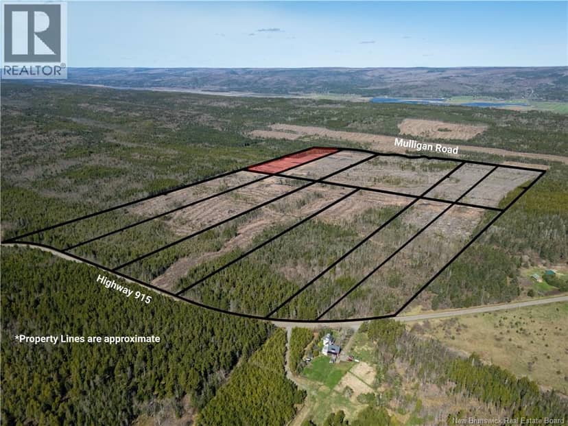 Lot 1 Route 915, Upper New Horton, photo 8