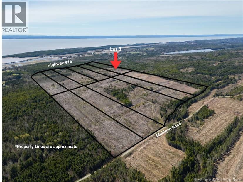 Lot 3 Route 915, Upper New Horton, photo 3