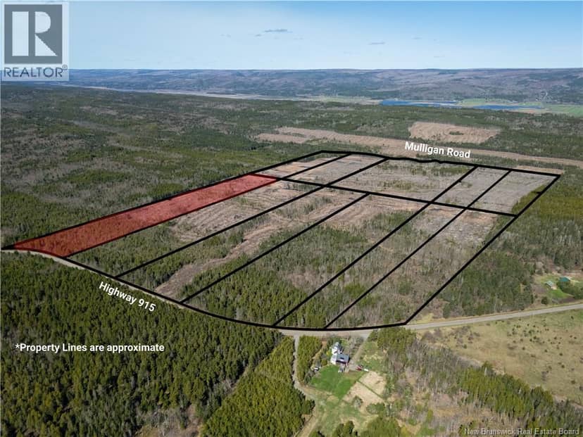 Lot 3 Route 915, Upper New Horton, photo 8