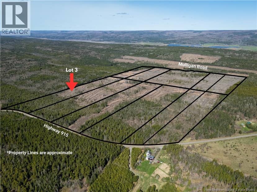 Lot 3 Route 915, Upper New Horton, photo 7