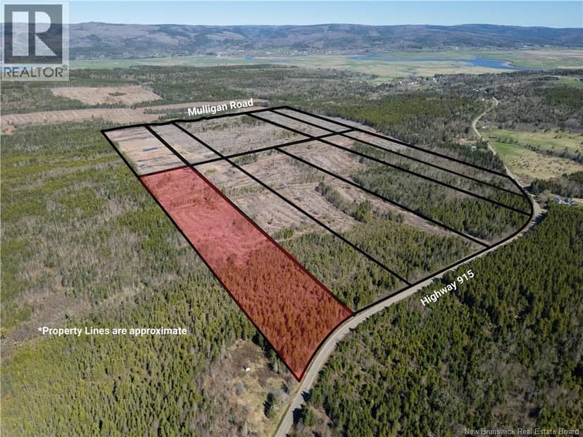 Lot 3 Route 915, Upper New Horton, photo 6