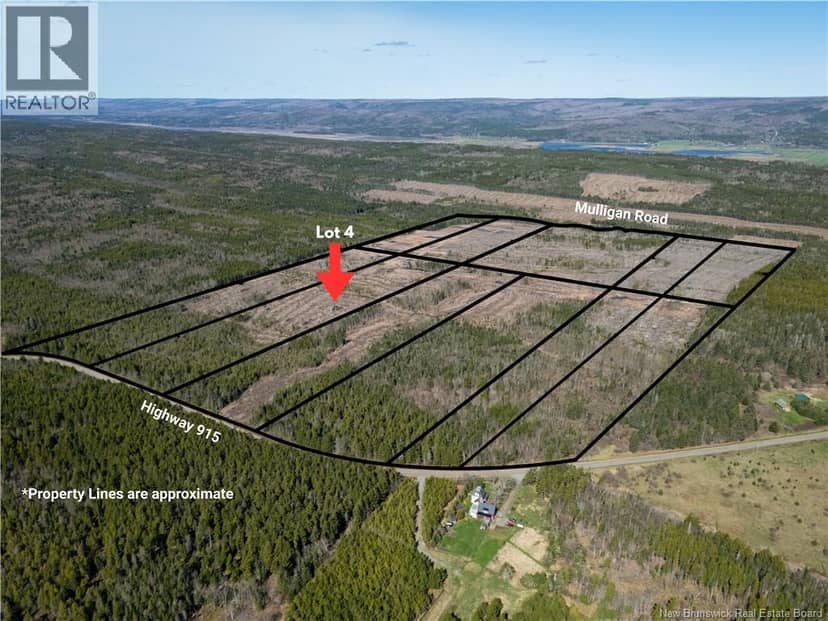 Lot 4 Route 915, Upper New Horton, photo 7