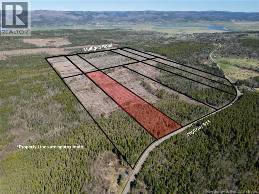 Lot 4 Route 915, Upper New Horton, photo 6