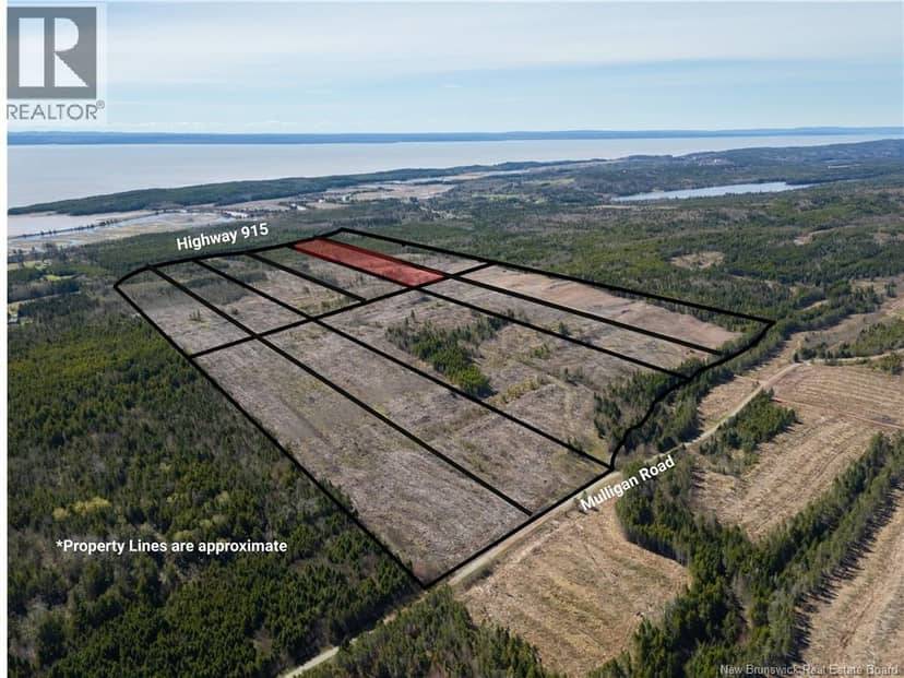 Lot 4 Route 915, Upper New Horton, photo 4