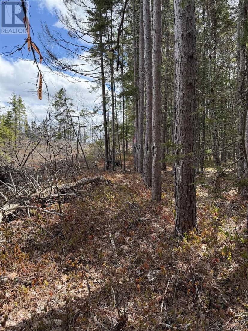 Lot CL1 Palmer Road, West Wentworth, photo 2